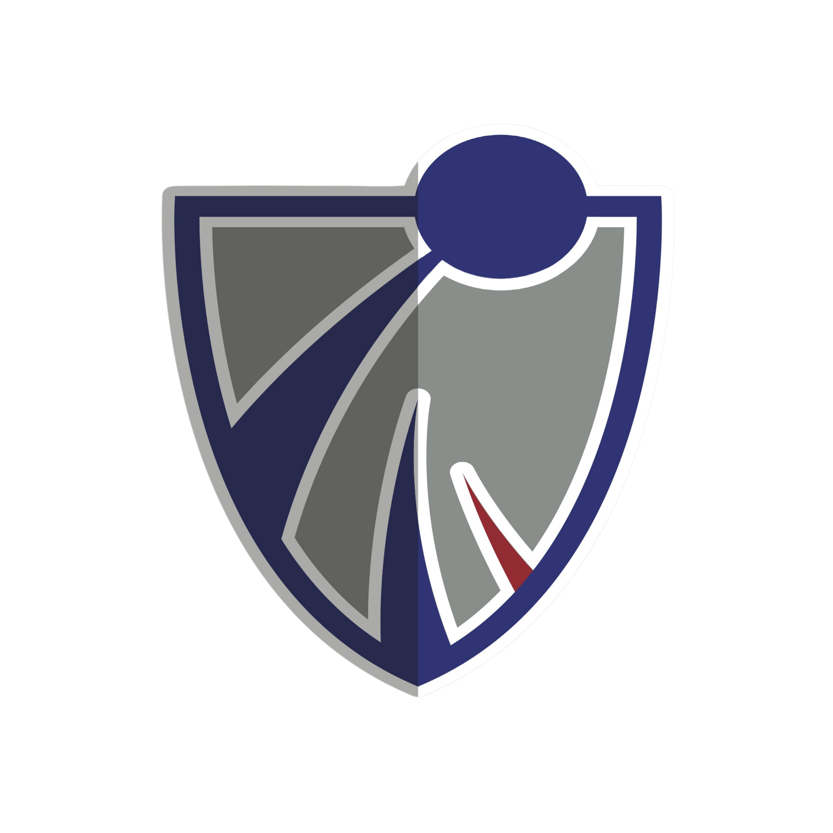 New Sports Network